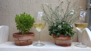 Passengers Bar, Belgrade, Serbia, bar with great garden